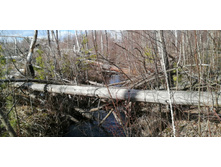 IMG 20200322 103219.jpg