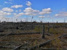 IMG 20200321 125207.jpg