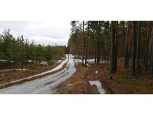 IMG 20200309 130118.jpg