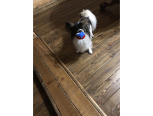 ����������� viber 2020-03-14 20-11-29.jpg