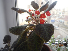 DSCN4068.JPG