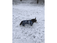 ����������� viber 2020-03-15 14-41-59.jpg