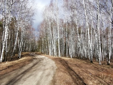 IMG 20200321 093850.jpg