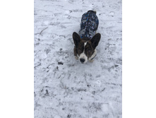 ����������� viber 2020-03-15 14-42-08.jpg