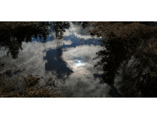 IMG 20200321 131620.jpg