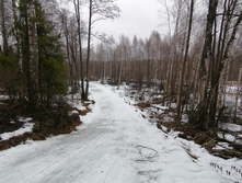 IMG 20200308 104625.jpg