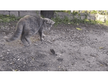 ���� ���� ���� � ����� ...