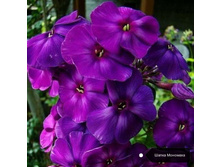 ����� ����� ��������, 200���. (������� 6��)