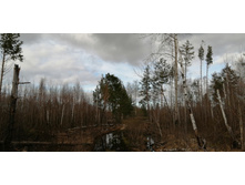 IMG 20200430 165505.jpg