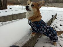 ����������� viber 2020-04-02 11-14-08.jpg