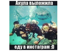 Screenshot 20200421 133400.jpg