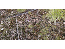 IMG 20200430 171002.jpg