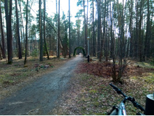 20200329 �� ������� 135913.jpg