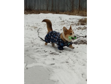 ����������� viber 2020-04-02 11-12-13.jpg