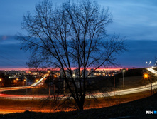 494e66b96156bd0a1afac6ed7ec7649e61b7ad92 727.jpg