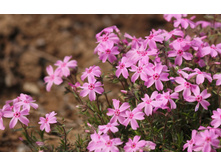 ����� ���������� 100 �