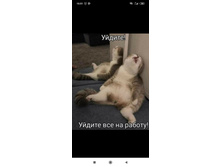 ������! ������ ��� �� ������!