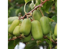 275���,  ��������� ��������� �������� ��������� (���)/����, � ������� 2��.jpg