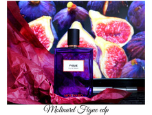 FIGUE MOLINARD � � 75 �� 4000+%+����