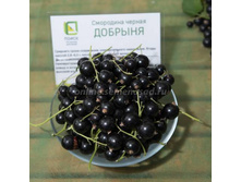 162,5���, ��������� ������ ������������� ����� �������/��������, � ������� 1��.JPG