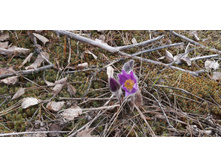 IMG 20200430 170246.jpg