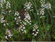 ����� �����������.jpg