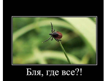 IMG 20200422 155418.jpg