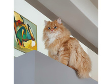 ��� �� �������� ...