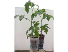 2020-04-21 14-43-57.JPG