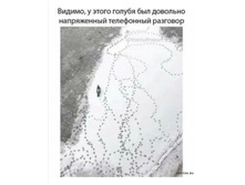 Screenshot 20200421 133512.jpg