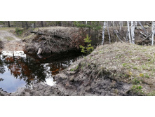 IMG 20200430 165000.jpg