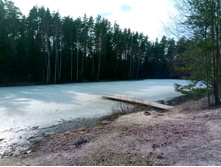 20200329 �� ������� 141207.jpg