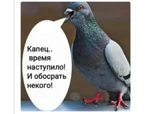 Screenshot 20200421 133424.jpg