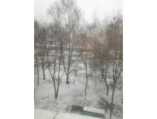 23 ������ 2020