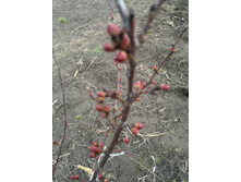 ������� 20 .4. 16.