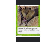 FB IMG 1587197547986.jpg