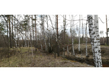 IMG 20200430 164919.jpg