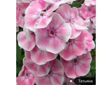 ����� �������, 200���. (������� 8��)