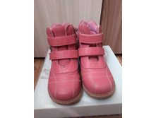 ��������� �����-����� 29�