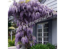 281,25���,  �������� ���������/����, � ������� 1��.jpg