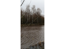 IMG 20200421 163542.jpg