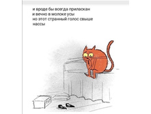 Screenshot 20200402 221550.jpg