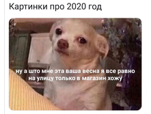 Screenshot 20200408 192003.jpg