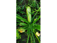 IMG 20190722 182231.jpg