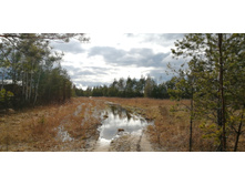 IMG 20200430 164034.jpg