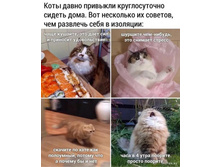 ���� � ������������. ������� ����������� �� ����