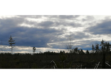 IMG 20200430 163131.jpg