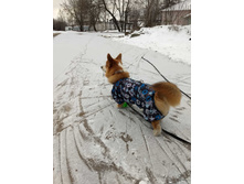 ����������� viber 2020-04-02 11-12-10.jpg