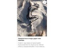 Screenshot 20200331 201435.jpg