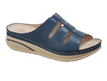 F01-19102-5 ���� Evalli �����.jpg